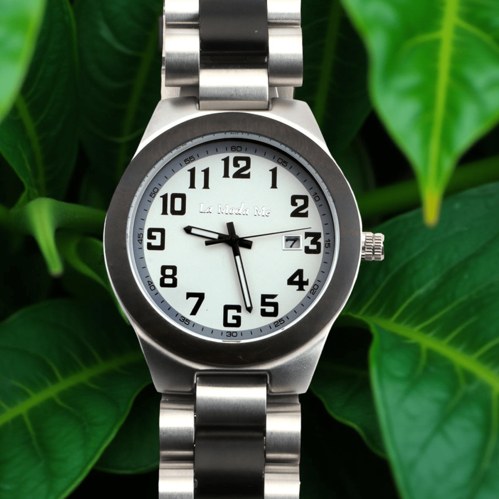 Watch Frost - Eco-Friendly Wooden Timepiece